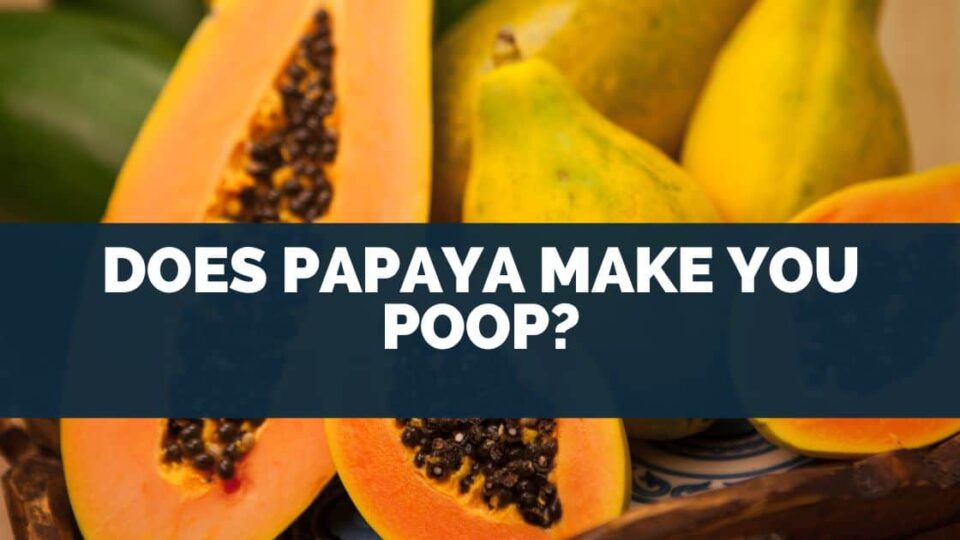 Does Papaya Make You Poop?