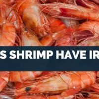 Does Shrimp Have Iron