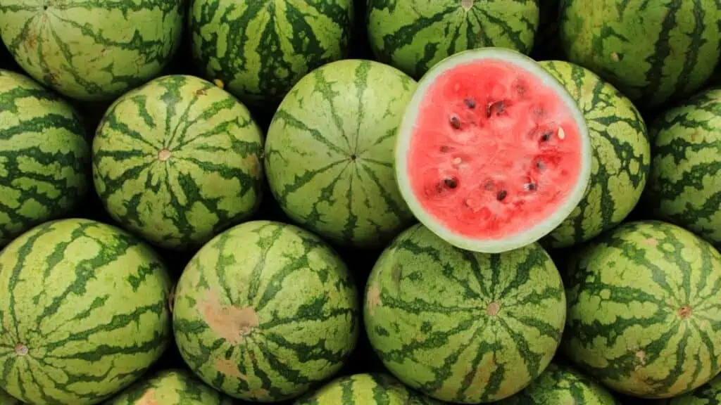 Does Watermelon Cause Diarrhea