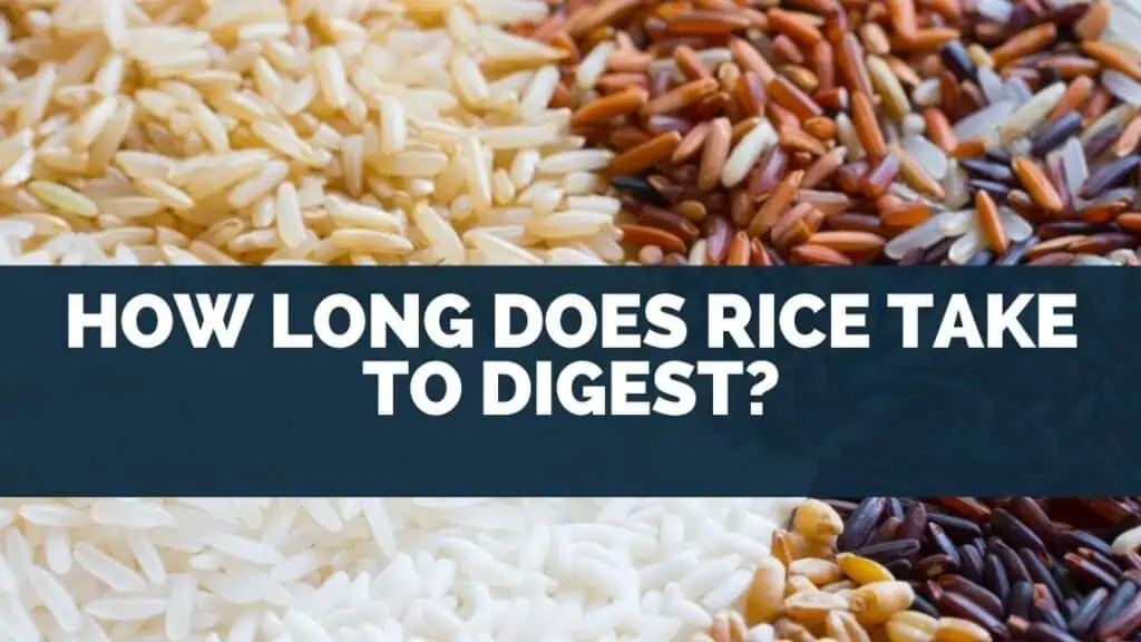 How Long Does Rice Take To Digest