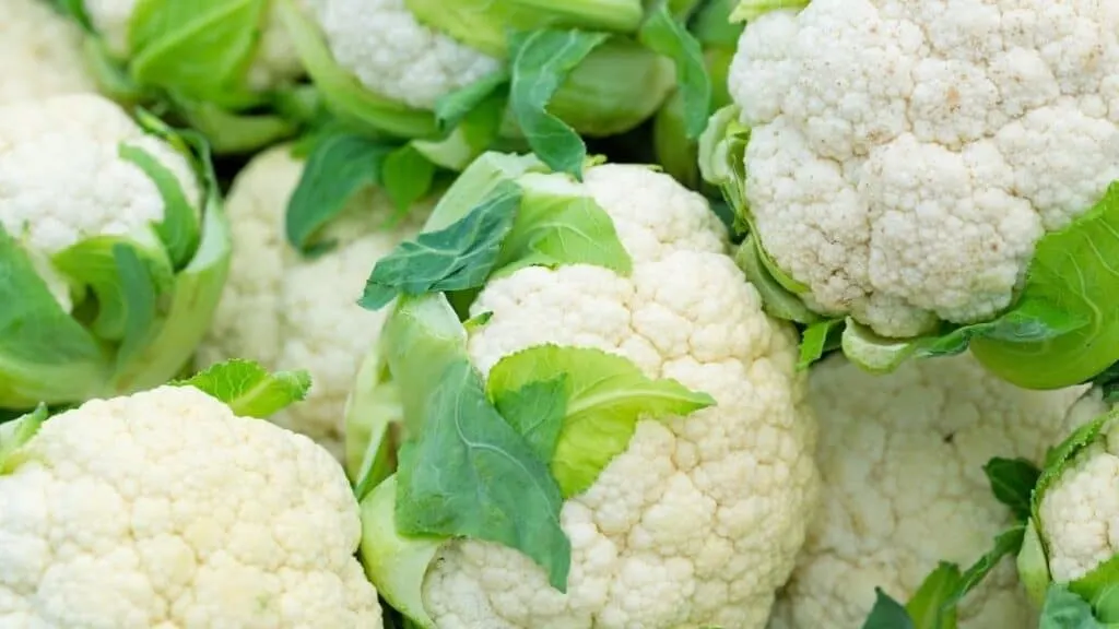 Keto Potato Substitute