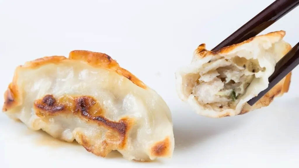 What Are Gyoza Wrappers Made Of