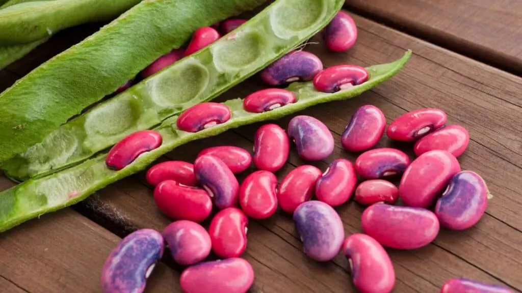 What Happens If You Eat A Lot Of Beans