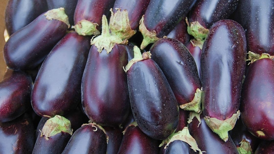 Is Fried Eggplant Good For You?