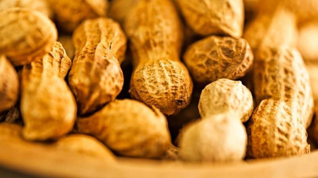 What Kind Of Peanuts Are Used For Boiling