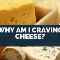 Why Am I Craving Cheese