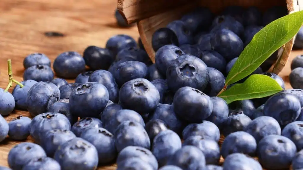 Why Do Berries Cause Diarrhea