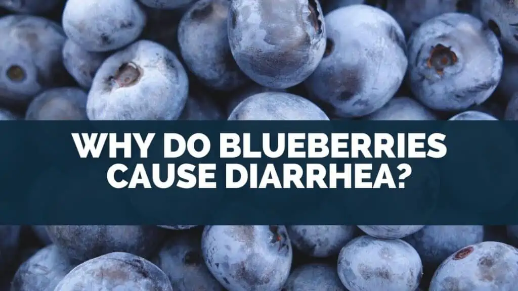 Why Do Blueberries Cause Diarrhea