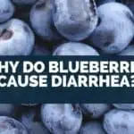 Why Do Blueberries Cause Diarrhea