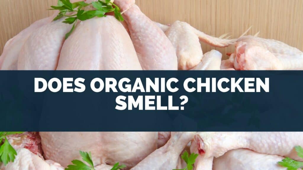 Does Organic Chicken Smell?