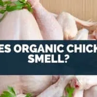 Does Organic Chicken Smell?