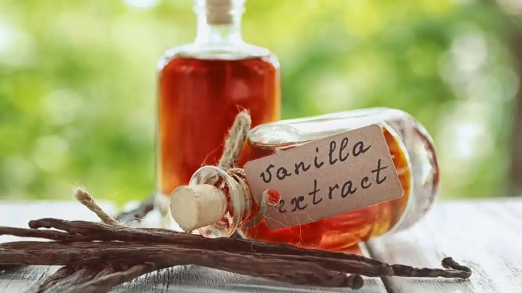 Is Vanilla Extract Necessary