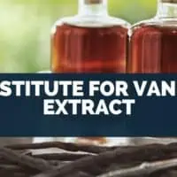 Substitute For Vanilla Extract