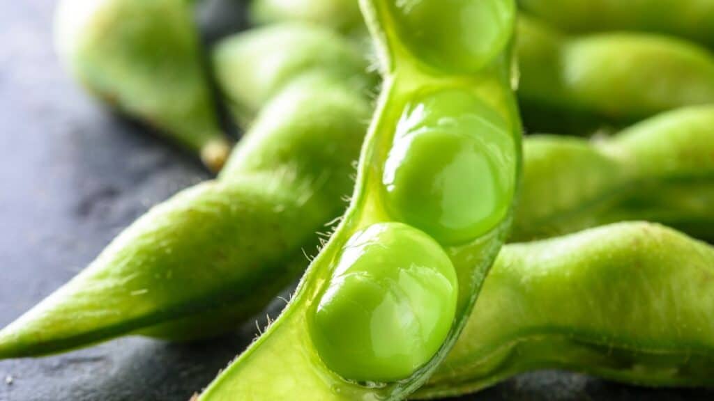 Are Edamame Hard To Digest?