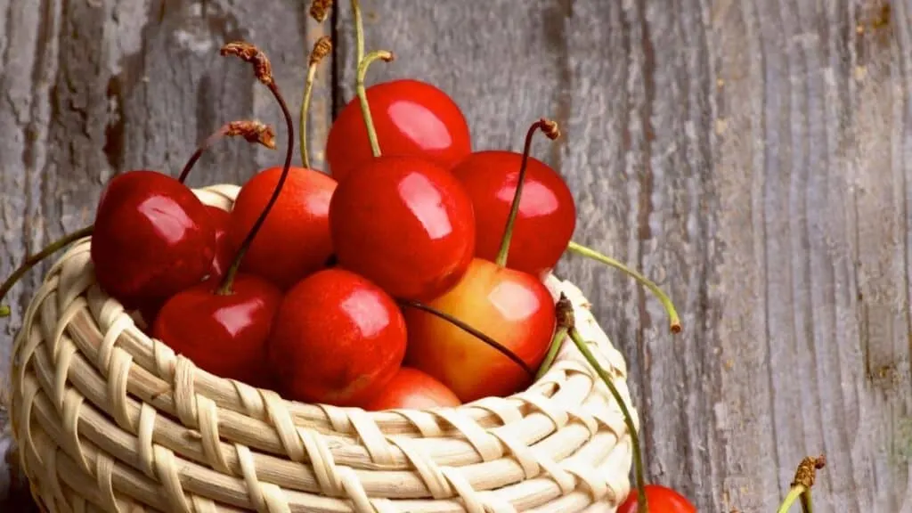 Are Maraschino Cherry Pits Poisonous