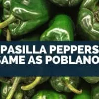 Are Pasilla Peppers The Same As Poblano