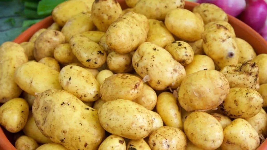 Are Yellow Potatoes Good For Mashing?