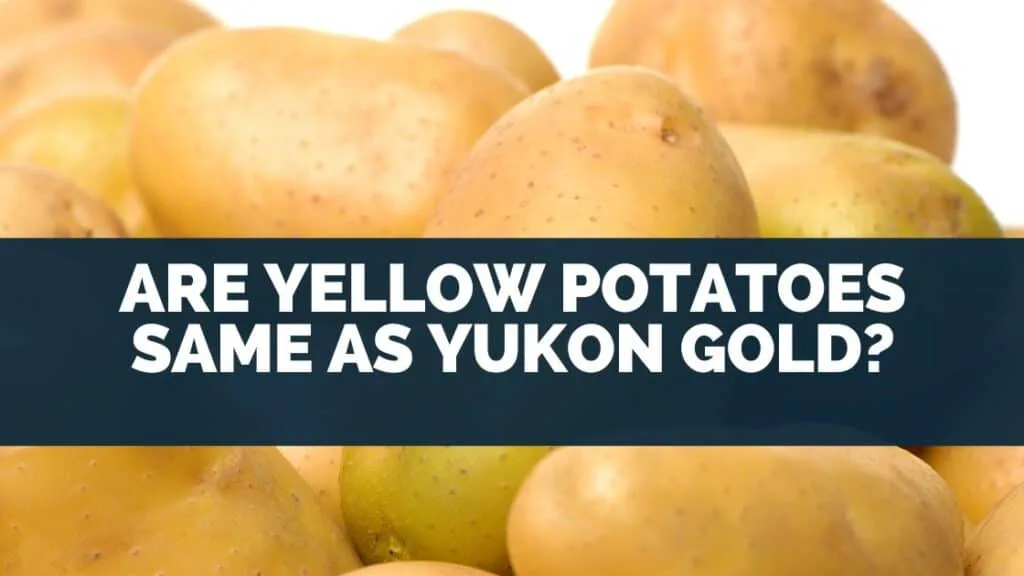 Are Yellow Potatoes Same As Yukon Gold?