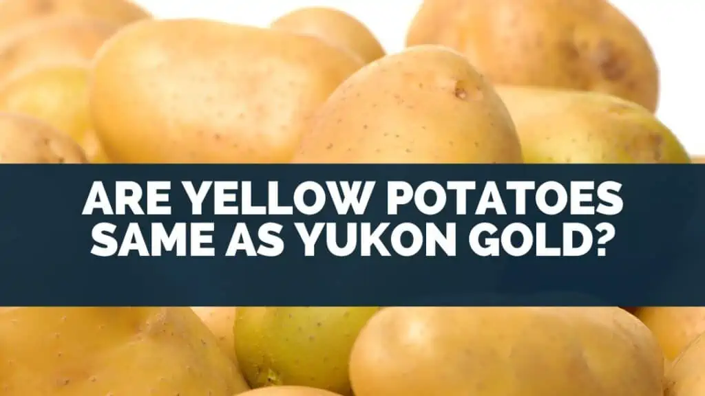 Are Yellow Potatoes Same As Yukon Gold?