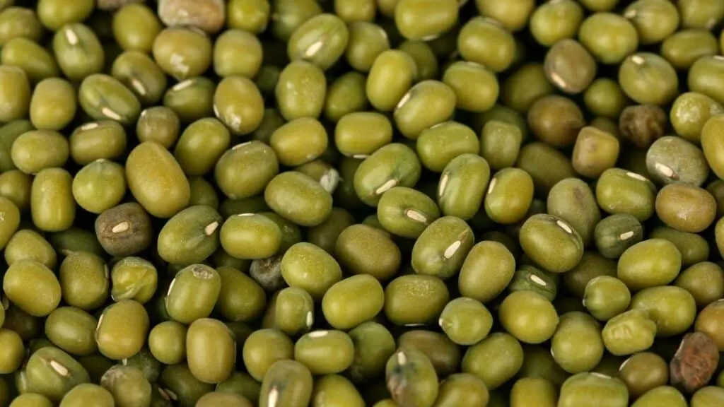 Can You Cook Green Beans In Boiling Water?