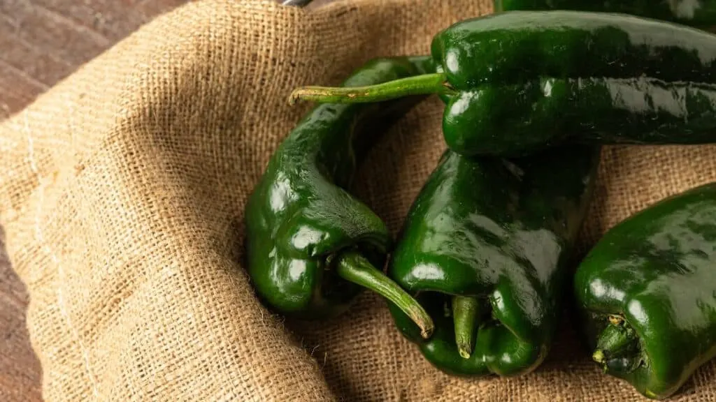 Can You Substitute Pasilla Peppers For Poblanos