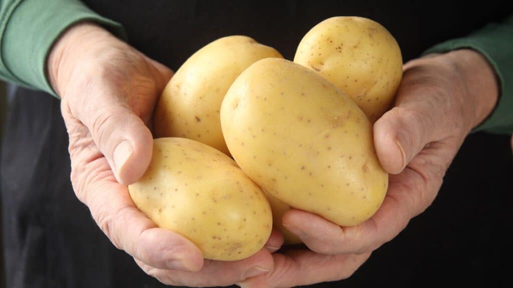 Can You Substitute Yellow Potatoes For Yukon?