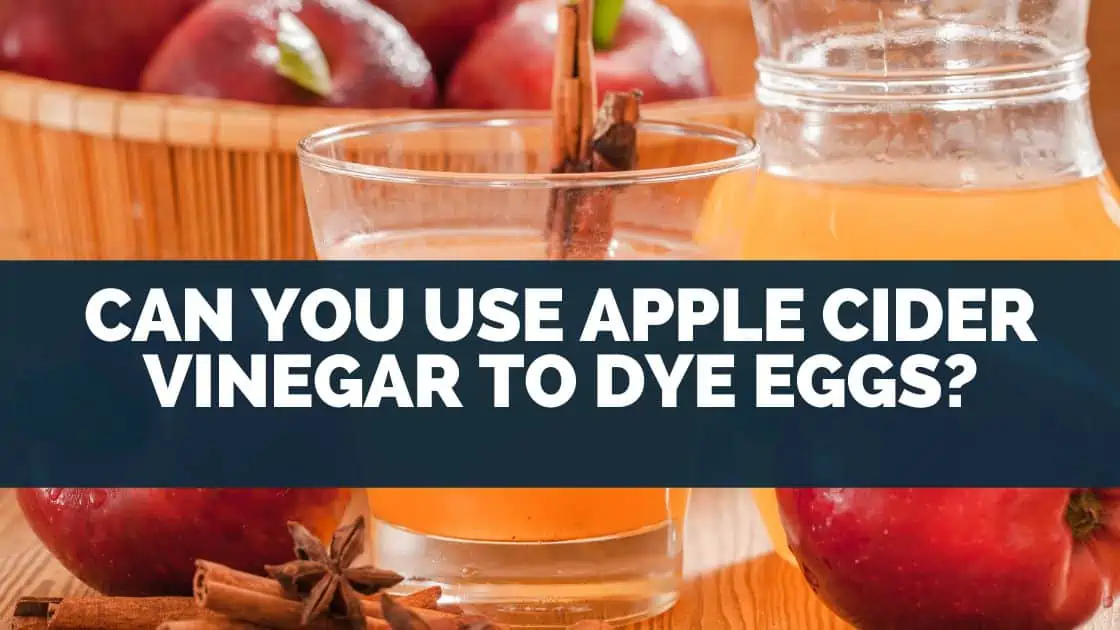 Can You Use Apple Cider Vinegar To Dye Eggs?