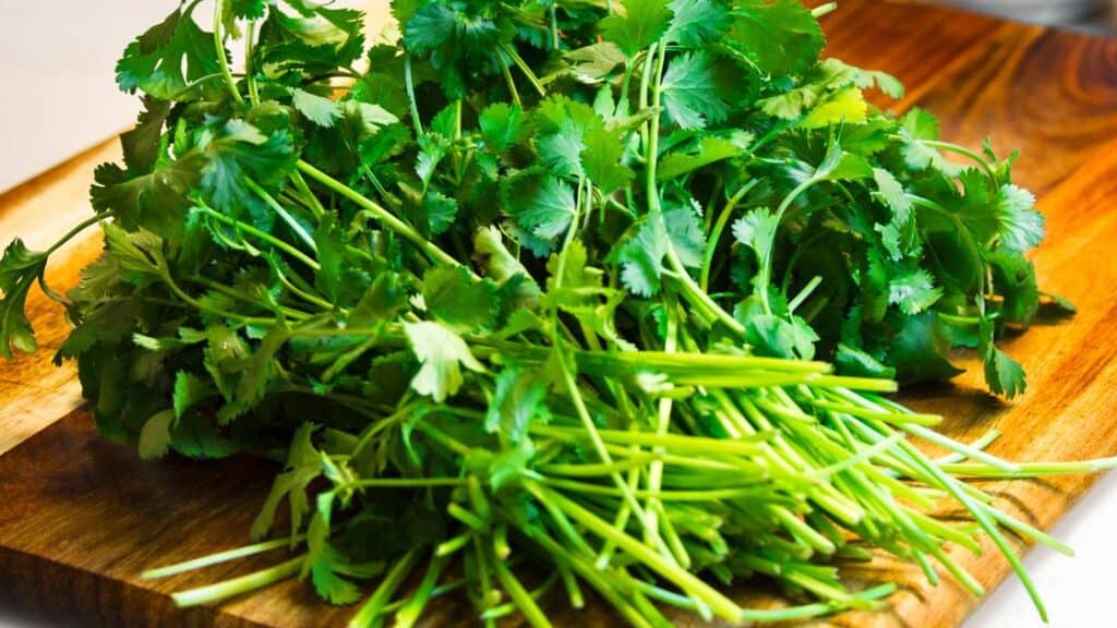 Do You Use Cilantro Stems Or Just The Leaves?