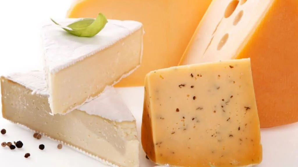 Does Cheese Go Bad If Not Refrigerated?