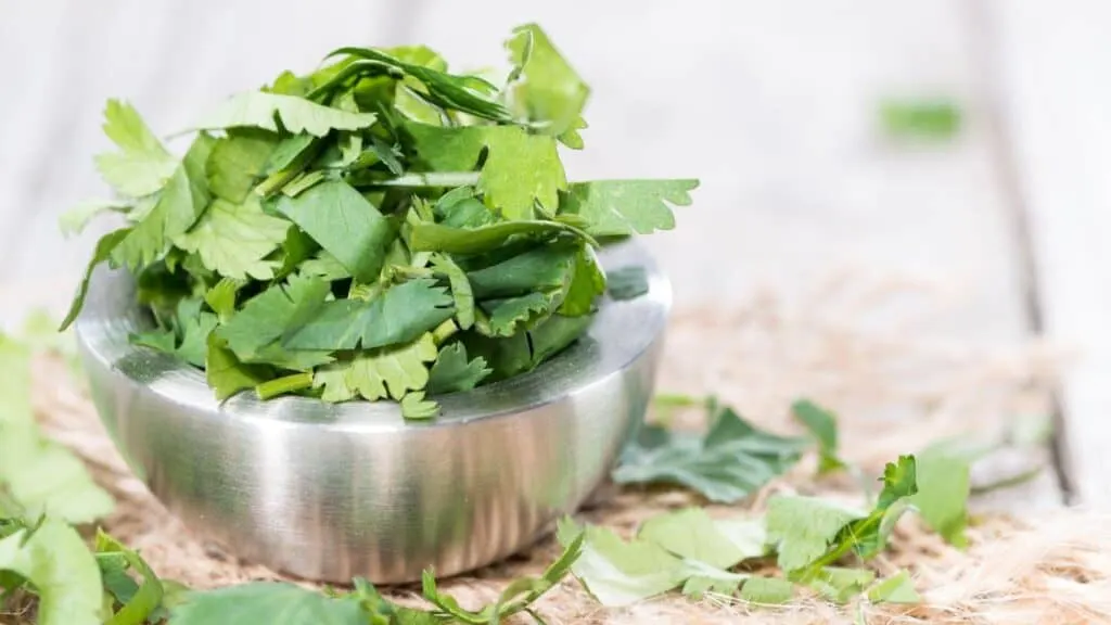 How Do You Measure Fresh Cilantro?