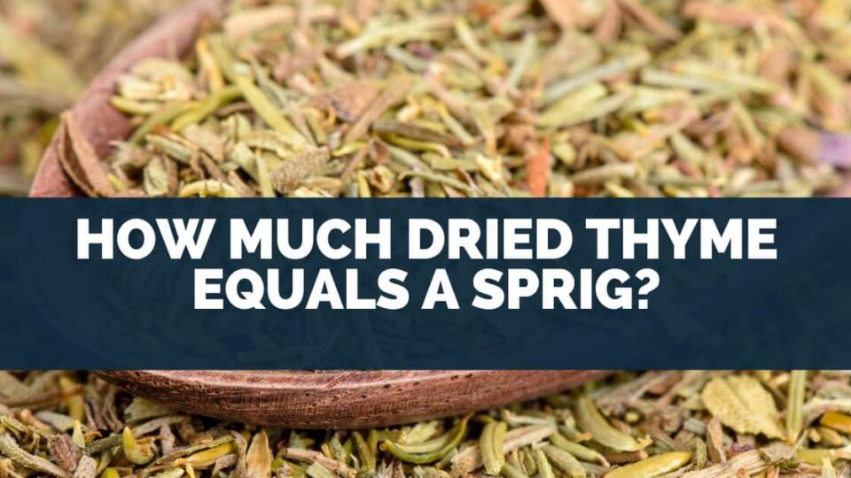 How Much Dried Thyme Equals A Sprig?