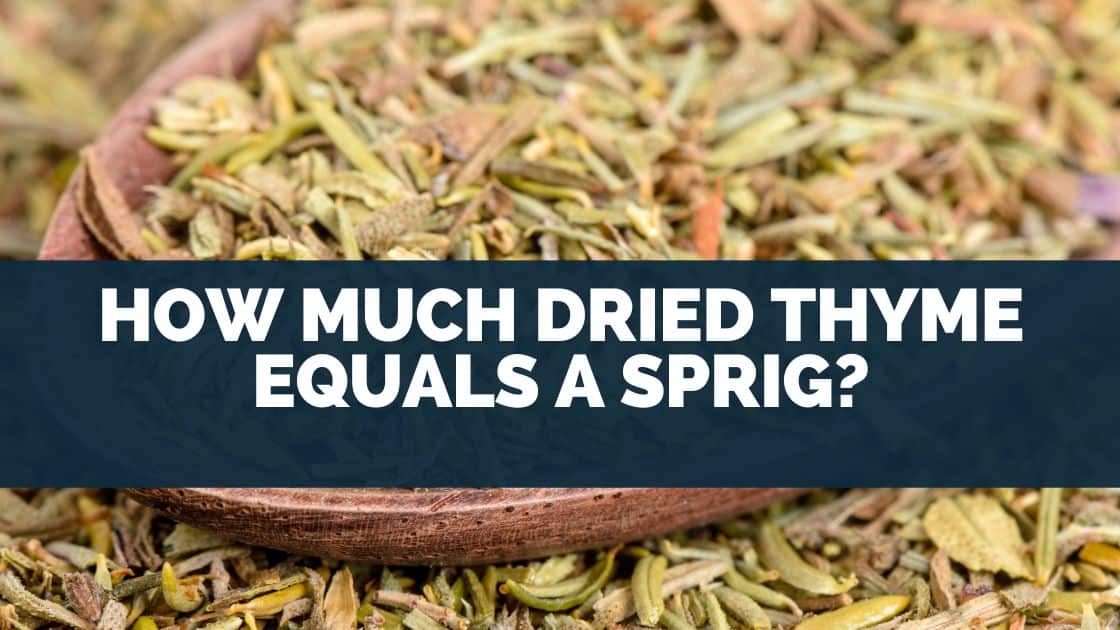 How Much Dried Thyme Equals a Sprig