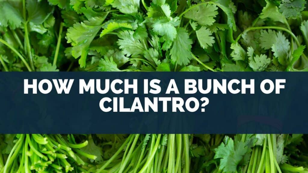How Much Is A Bunch Of Cilantro?