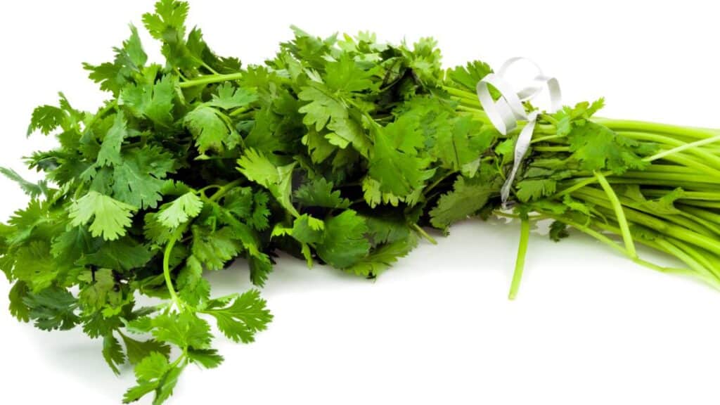 How Much Is Half Bunch Of Cilantro?