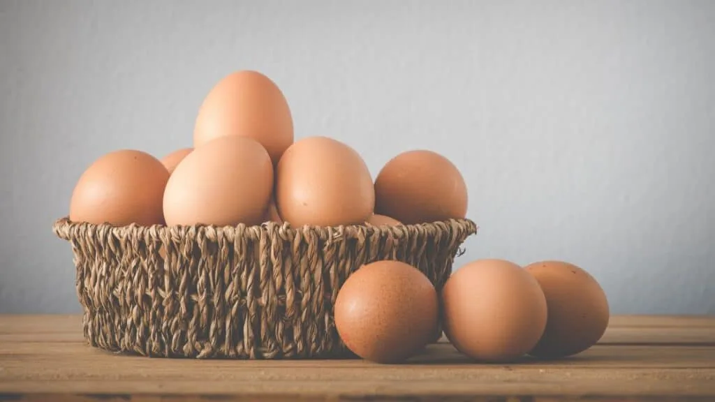 How Much Protein Do 6 Eggs Have?