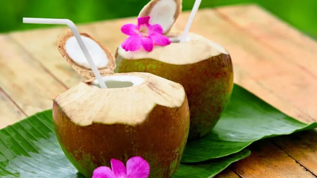 Is Coconut Water Good For Vomiting And Diarrhea?