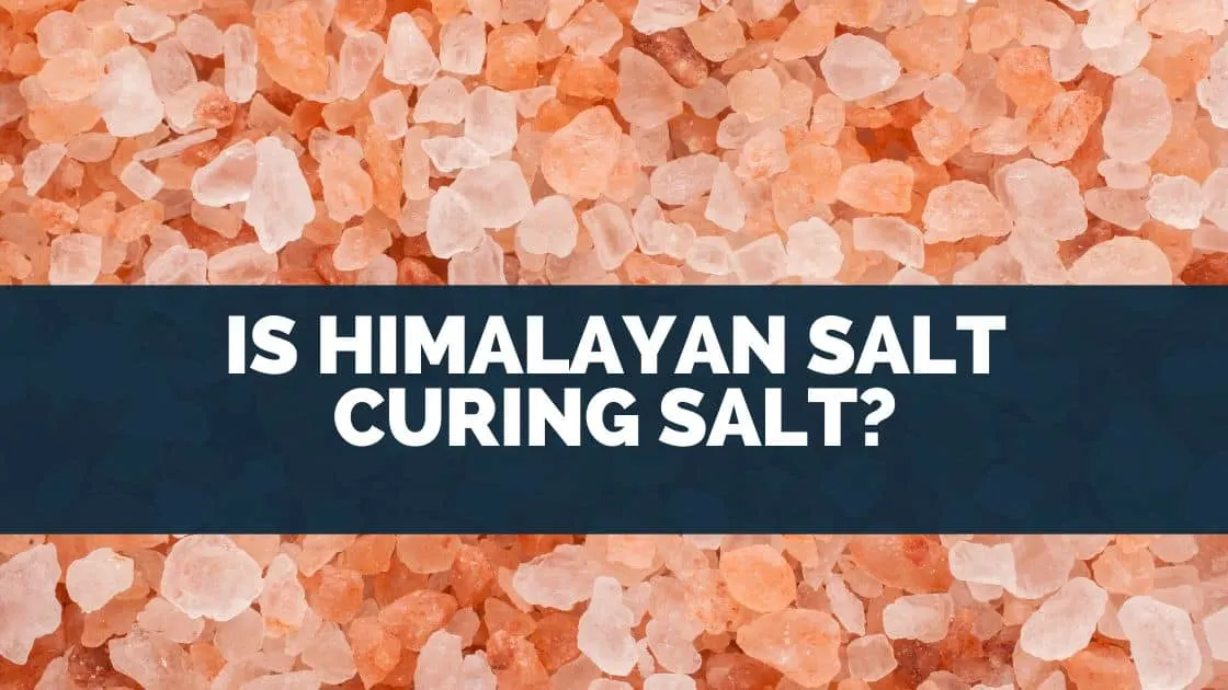 Is Himalayan Salt Curing Salt?