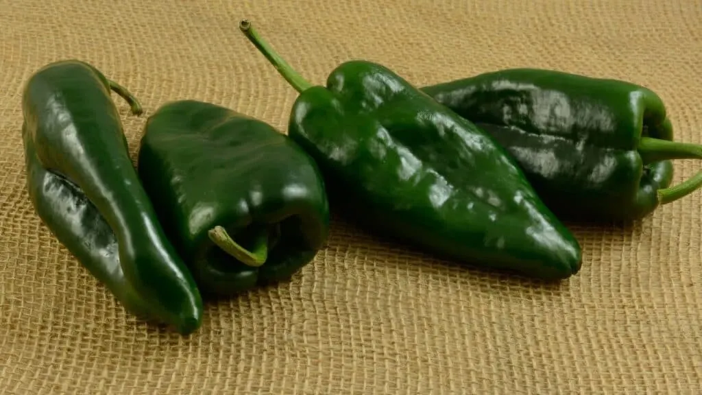 Poblano Vs Bell Pepper