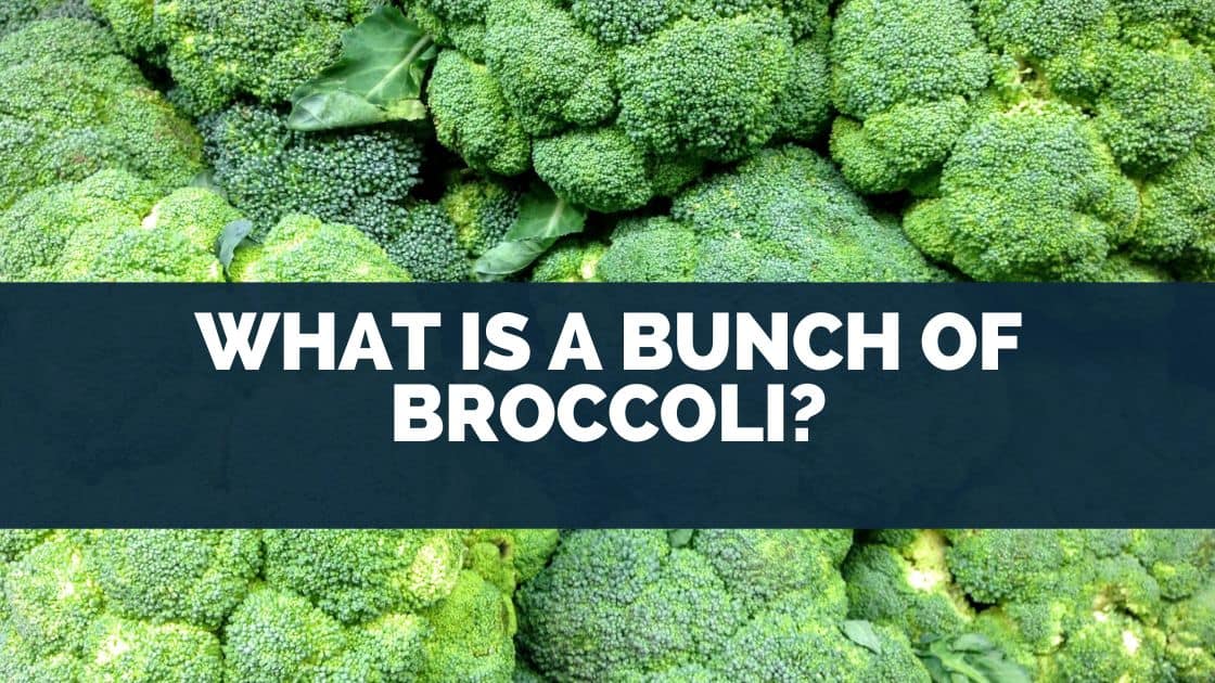 What Is A Bunch Of Broccoli?