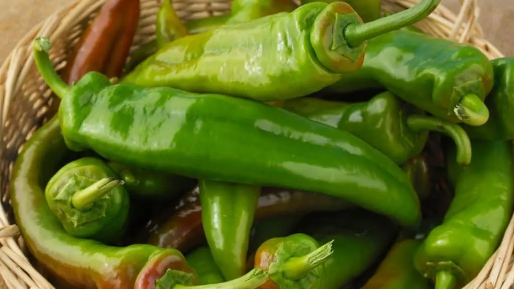 What Is Another Name For Poblano Peppers
