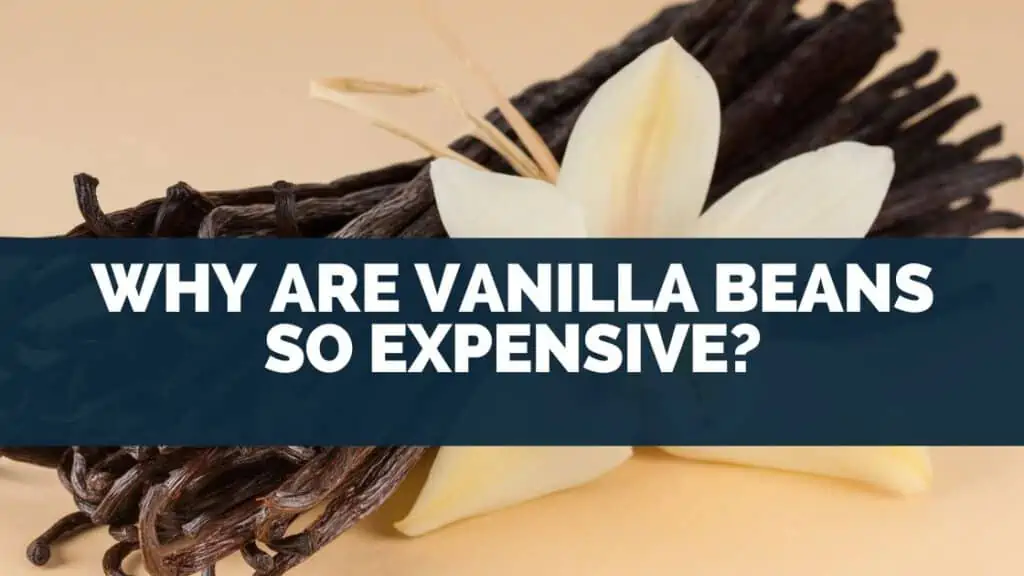 Why Are Vanilla Beans So Expensive?