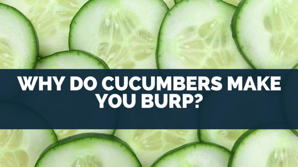 Why Do Cucumbers Make You Burp?
