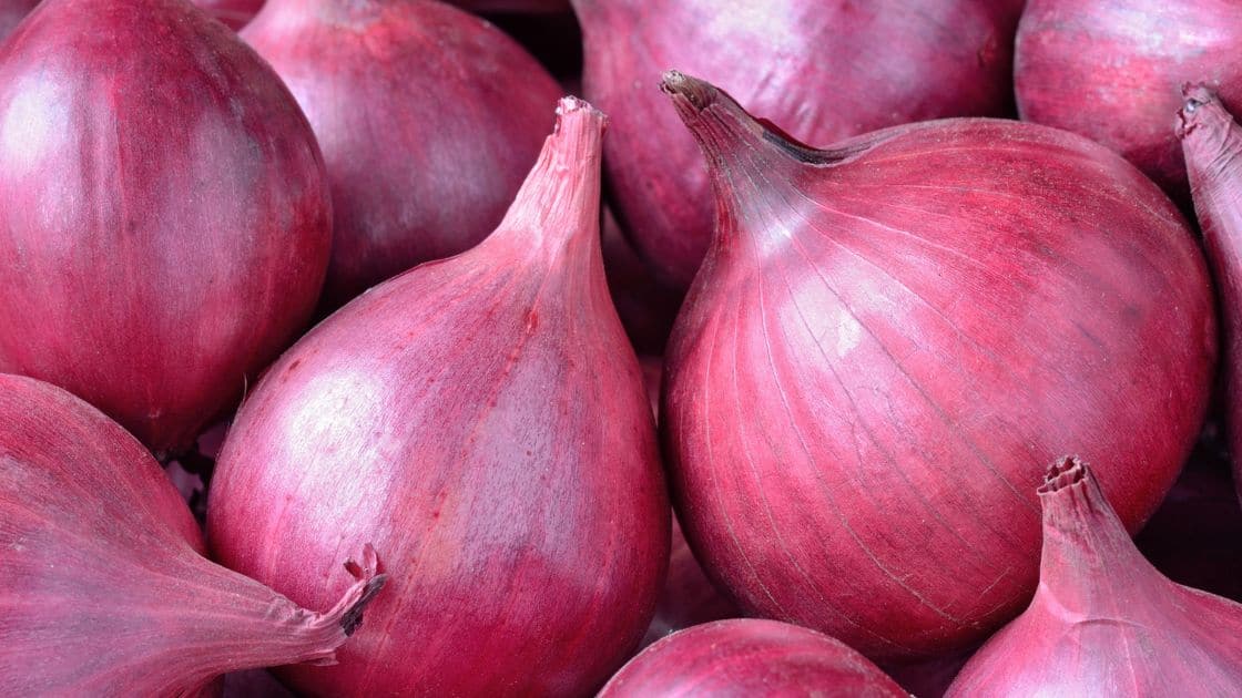 What Gives Onions Their Distinctive Smell?