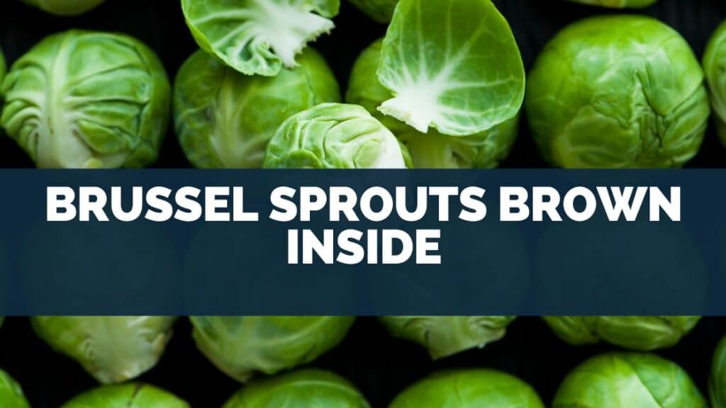 Brussel Sprouts Brown Inside