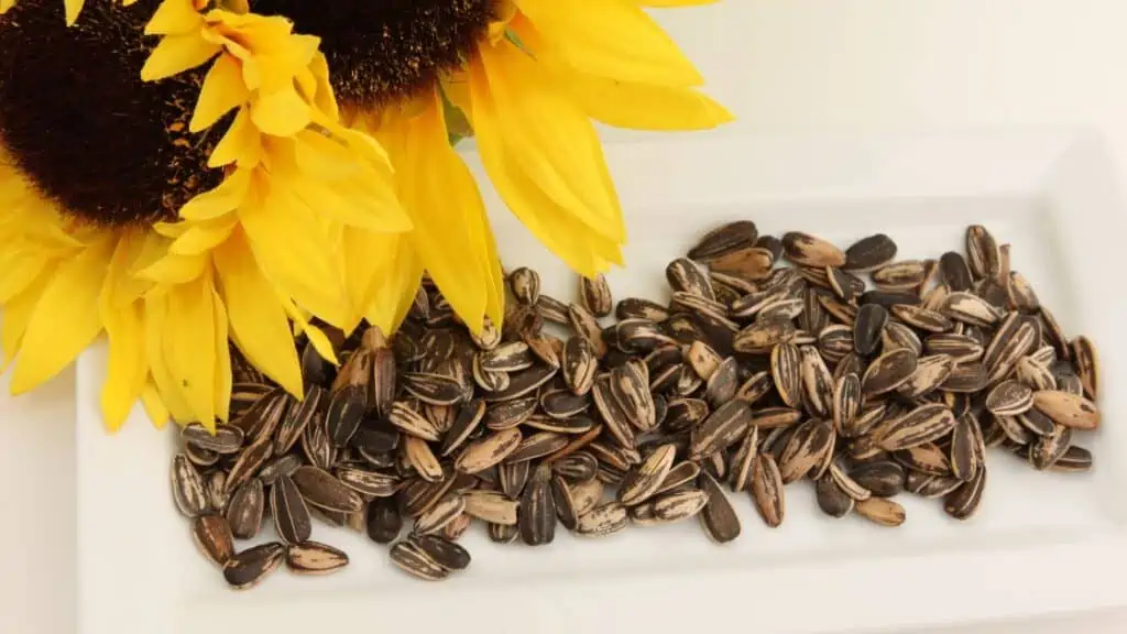 Can Eating Sunflower Seeds Cause Diarrhea?