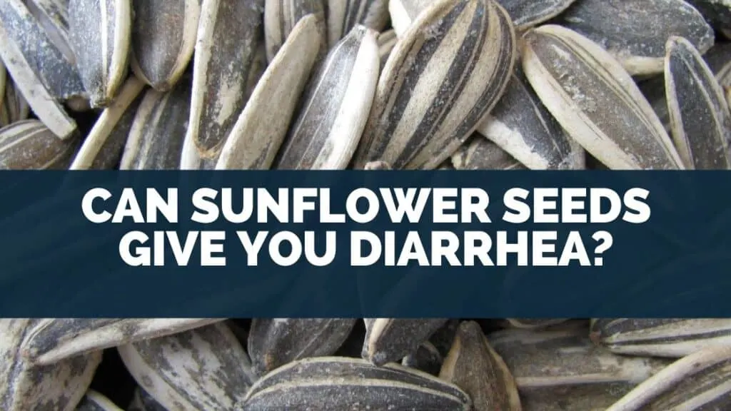 Can Sunflower Seeds Give You Diarrhea?
