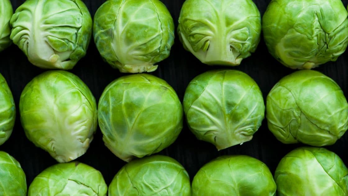 Brussel Sprouts Brown Inside Eat For Longer Food Insights