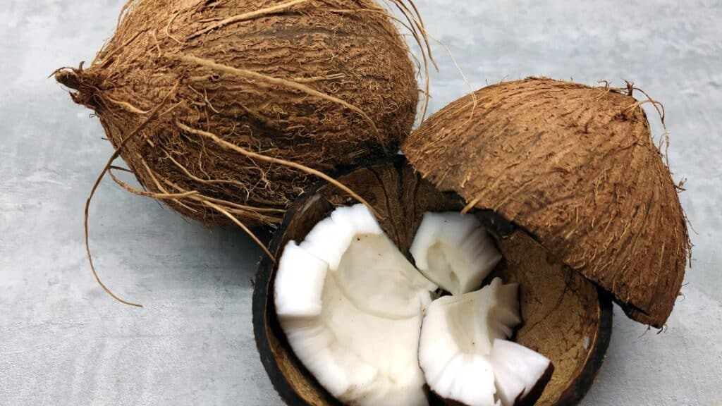 Can You Eat Brown Coconuts?