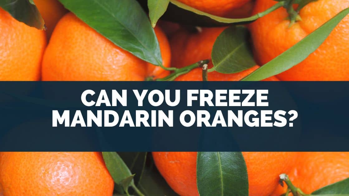 Can You Freeze Mandarin Oranges?