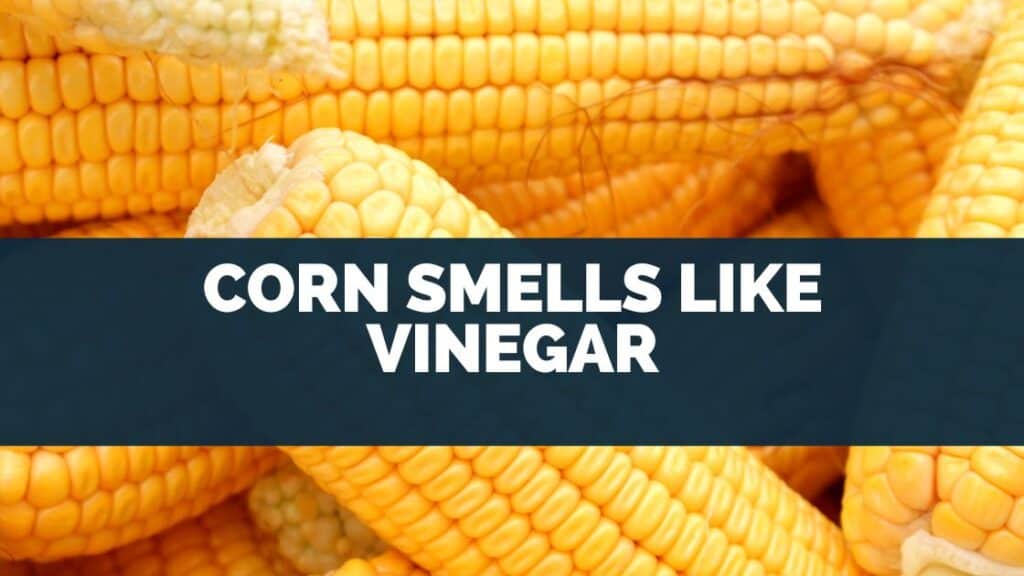 Corn Smells Like Vinegar